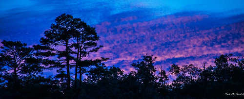 trees sky silhouette skyline sunrise mexico nikon bluesky scene cropped vignetting barrancasdelcobre coppercanyon 2014 d600 urique parkscene tedmcgrath uriquecanyon tedsphotos nikonfx tedsphotosmexico d600fx