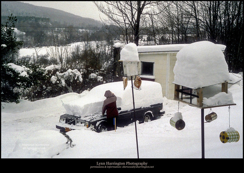 winter snow newyork volvo country 1983 drifts birdfeeders vintageslide kingssettlement chenangocounty thompsoncreekvalley lynnharringtonphoto