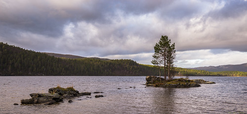 storvannet tverrelvdalen alta finnmark øy panorama panoramic island pinetree forrest woods lake water vann