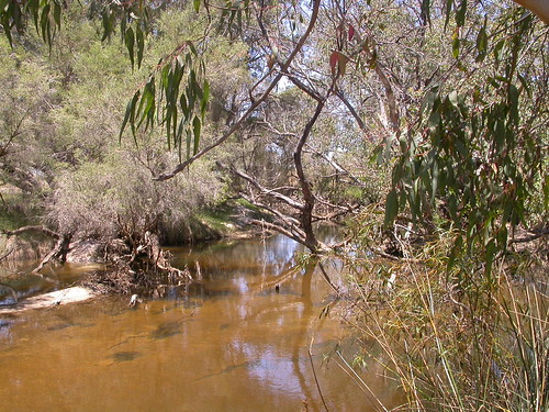 australia westernaustralia mooreriver