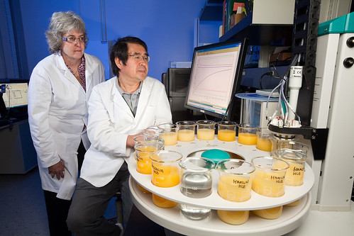 Researchers at USDA Agricultural Research Service help reduce food waste by developing new ways to extend food shelf life and by creating new food products, biobased plastics, and animal feed from food waste.  USDA photo by Stephen Ausmus.