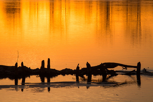 sunset river missouri pilings