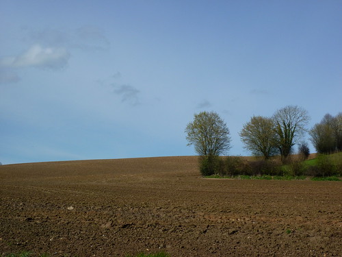 field countryside paysage campagne champ pasdecalais blangervalblangermont