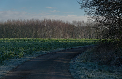 road winter rural landscape deutschland frost landschaft niedersachsen lowersaxony niedersachen strase barnstorf eydelstedt