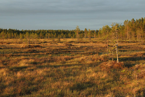 clouds finland marsh hirvisuo