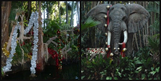 Jungle Cruise collage