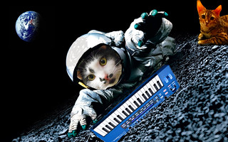 Groove Space Feline