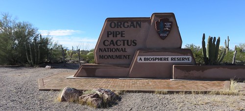 arizona az nationalmonuments organpipecactusnationalmonument pimacounty nationalparksystem