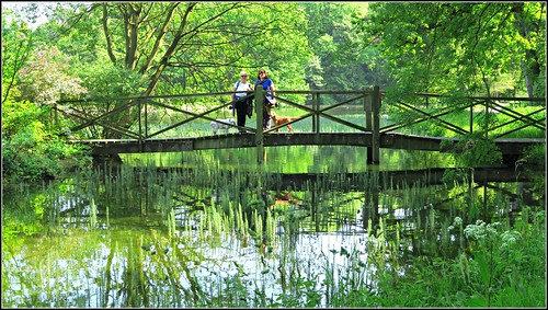 bridge water reflections greenery thorpeperrow