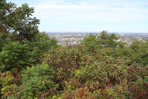 Mount Royal Lookout, Mount Royal Park, Montreal, Quebec