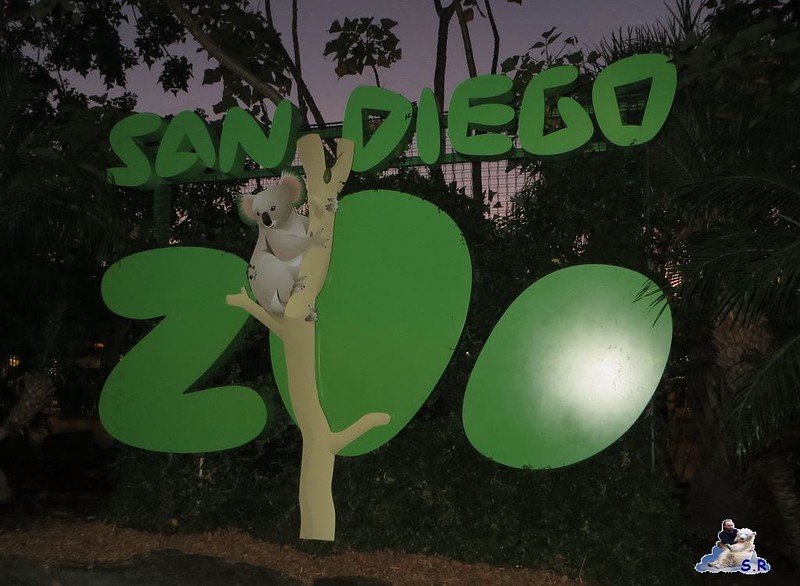 San Diego Zoo 307