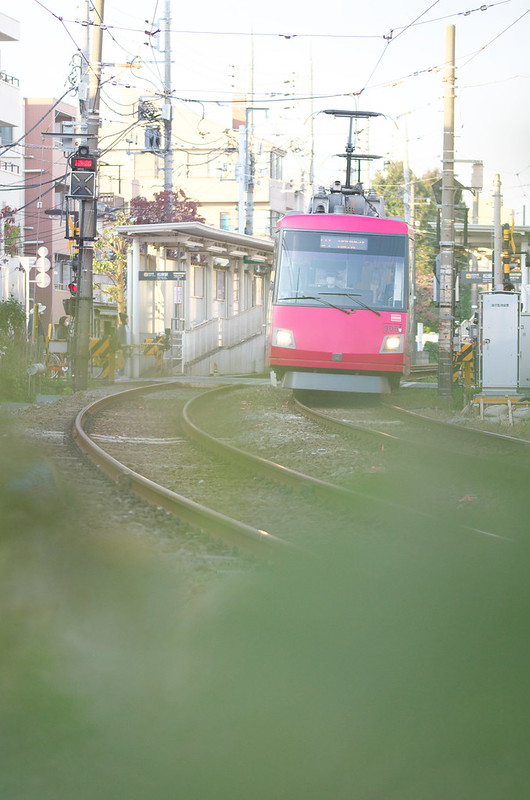 Tokyo Train Story 東急世田谷線 2014年11月23日