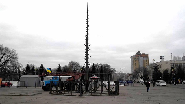 В Павлограді почали встановлювати новорічну ялинку