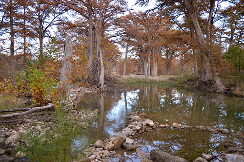 county reflection tree nature water river landscape outdoors texas tx country hill bandera medina