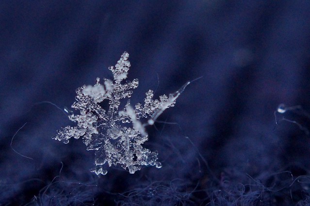 Macro Snowflake Tutorial by Seven Sisters Blog