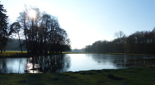light reflections landscape licht pond ngc landschap vijver wildparkdülmen panasonicdmcfz150 1190673