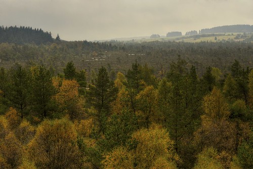 autumn trees panorama mountains nature germany outdoors bavaria landscapes moor birches rhön birdview schwarzermoor