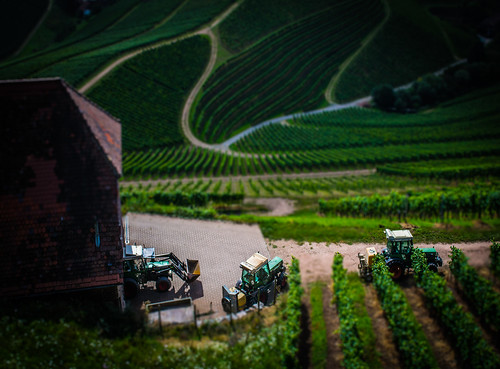 summer tractor germany landscape deutschland nikon traktor wine sommer shift mini tilt landschaft wein 2014 kamill wieloch d3100