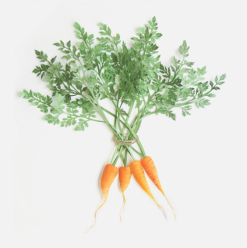 Cut paper carrots by Sarah Dennis