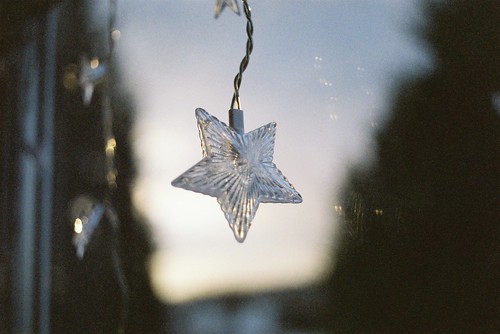 Winter star