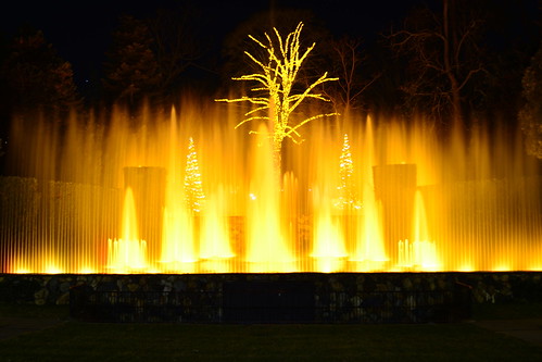 longexposure nature fountain night pennsylvania arboretum pa lightshow longwoodgardens wasserspiel fountainlightshow