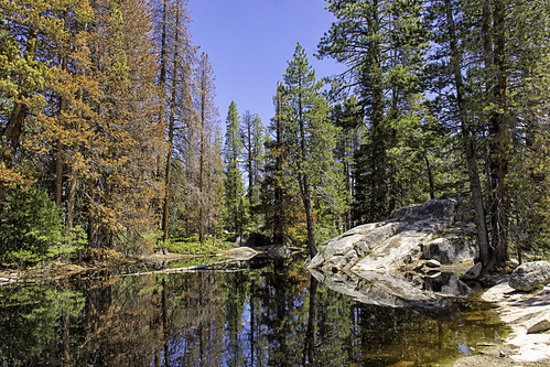 california camping trees sky reflection nature water landscape pond pines sierras sierranevada sierranationalforest wardlake stevejordan nikond7100 punahou77