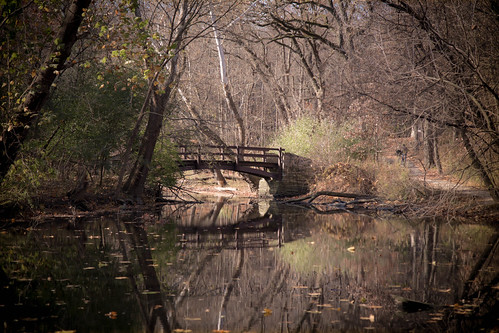 bridge november fall club photography photo illinois oak walk brook lombard 2014