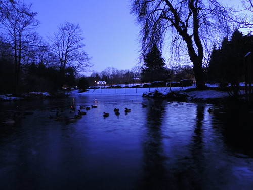 park winter sunset lake night reflections duck dusk derbyshire willow queenspark chesterfield