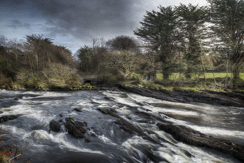 bridge ireland wild west tree river rocks cork rapids