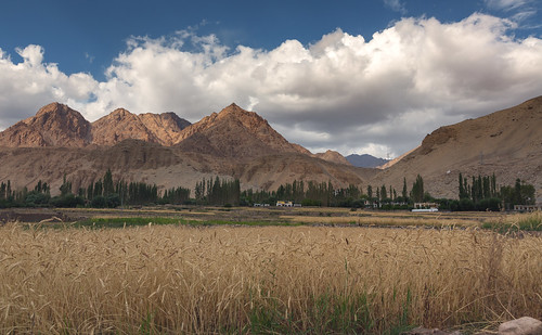 india mountains landscape crop agriculture himalayas ladakh jammukashmir 24105mm 5dmarkiii