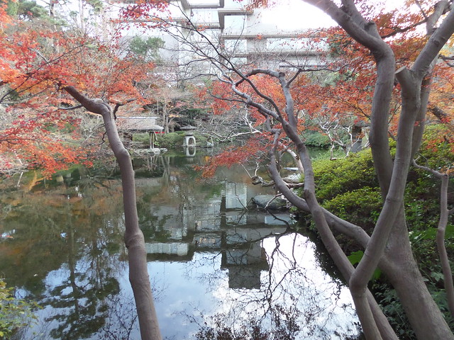 Foliage at Happo-en