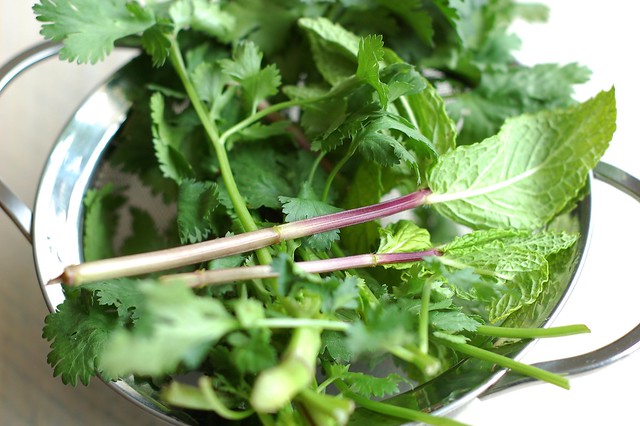 Fresh mint and cilantro by Eve Fox, the Garden of Eating, copyright 2016
