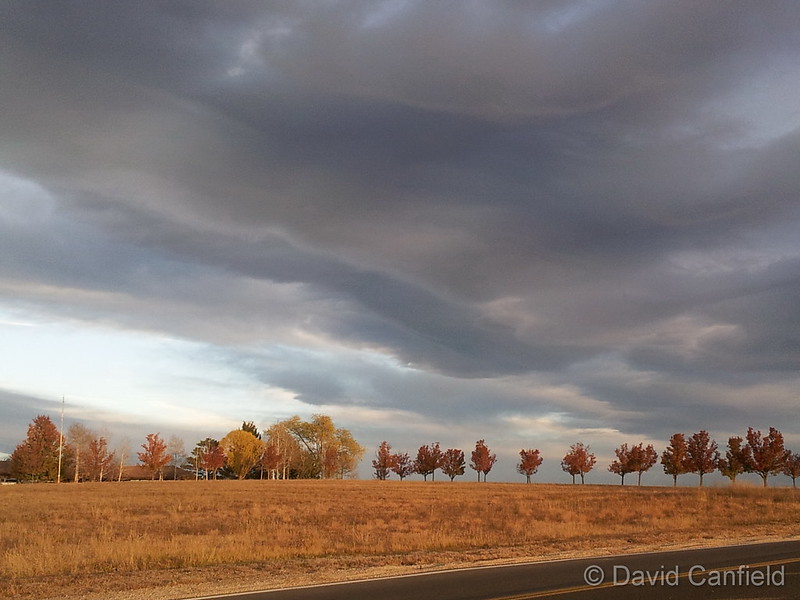 November 7, 2014 - Gorgeous clouds at sunrise. (David Canfield)