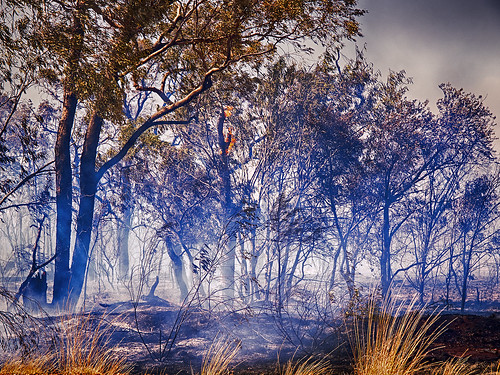 landscape bushfire barcaldine desertuplands