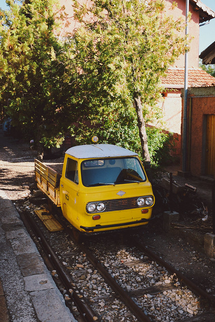 Rail Vehicle