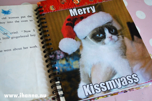 December Journal: Merry Grumpy Cat