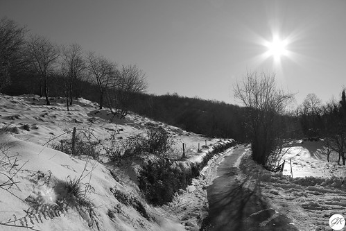 bw canon scout bn neve sole vallico canon60d