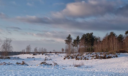 schnee snow netherlands landscape well landschaft limburg niederlande wintersonne provincelimburg heidelandschaft maasduinen winternachmittag eos100d dezember2014