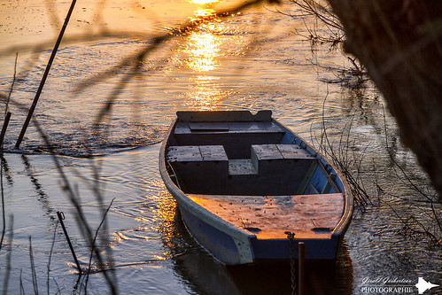sunset france river boat plate bateau loire barque fleuve couchédesoleil maineetloire anjou eos7d ladaguenière efs1585mmf3556isusm