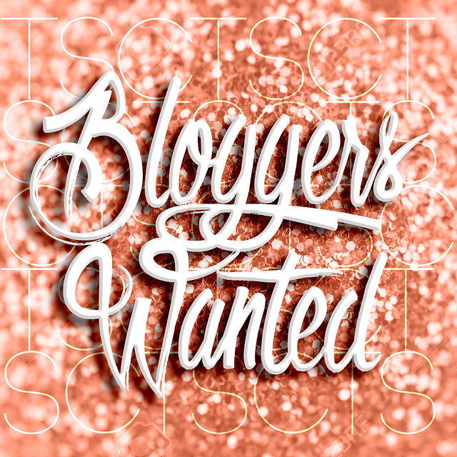 In Search of Bloggers!