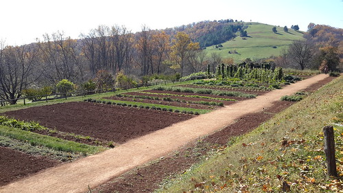 Gardens on Mulberry Row at Jefferson's Monticello