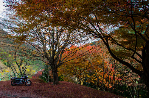 japan motorcycle 日本 kawasaki 兵庫県 w650 養父市