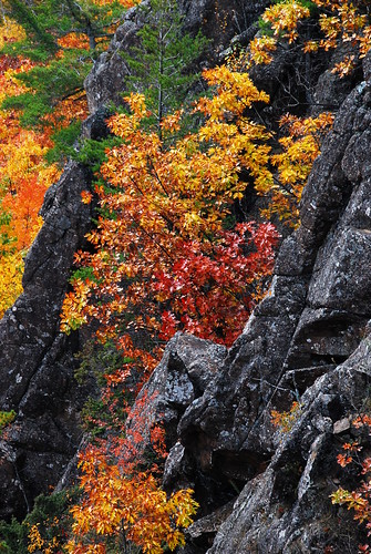 autumn color fall nature up landscape natural cliffs upperpeninsula coppercountry keweenaw