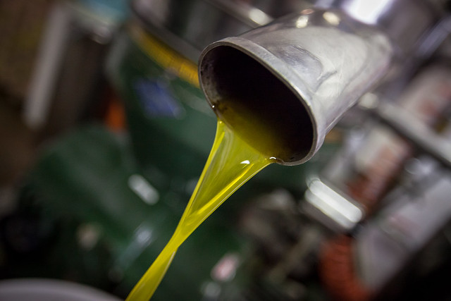 Come riconoscere un olio extravergine di qualità?