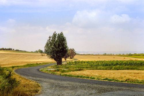 france canonav1 rural landscape countryside fields 1989 campagne languedocroussillon laurac canonfd50mmf18