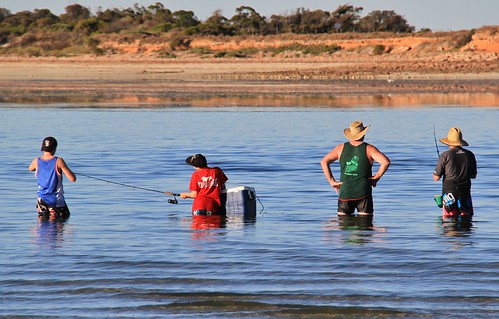 sea people beach water australia southaustralia portbroughton fishermansbay spencergulf
