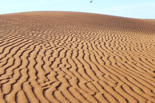 trek marocco deserto oueddraa