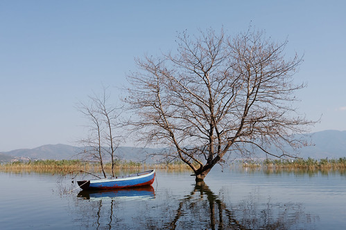 dxo cuckove canon 40d 24mm landscape lake tree flood dojran macedonia boat emilchuchkov emilchuchkovphotography