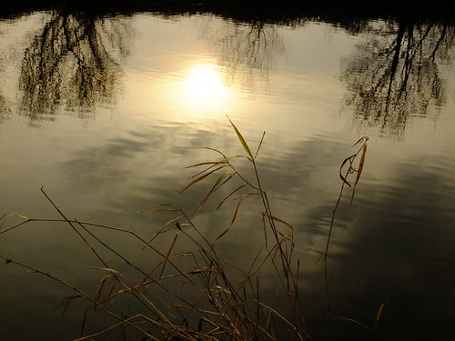 sunset river kirkstall aire