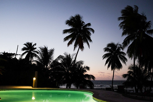 sunset tree pool puerto piscina palm rico rincon